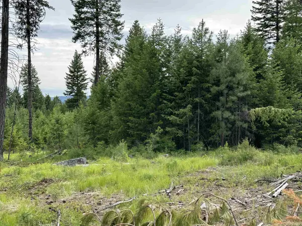 36XX Lot A Sheridan Rd, Republic, WA 99166