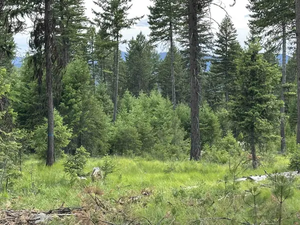36XX Lot A Sheridan Rd, Republic, WA 99166