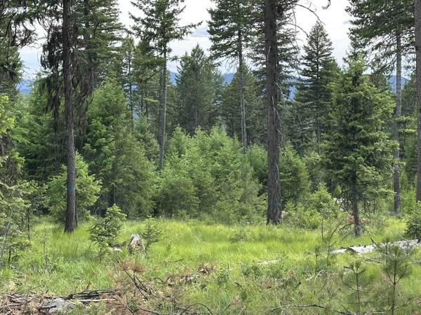 36XX Lot A Sheridan Rd, Republic, WA 99166