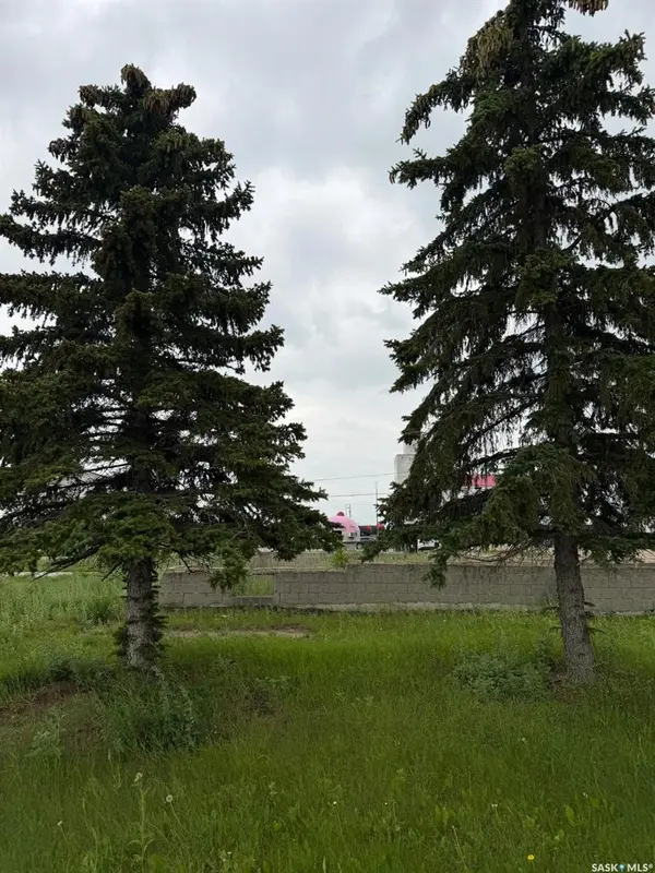 703 Norfolk AVENUE, Chamberlain, SK S0G 0R0