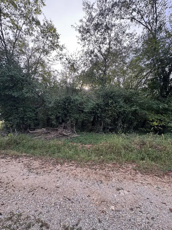 000 County Road 203, Couch, MO 65690