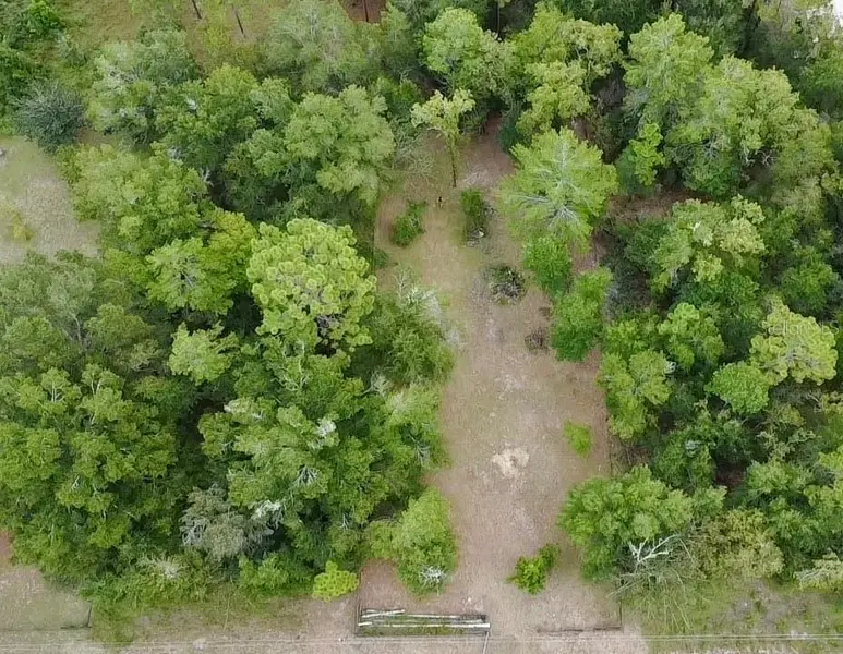 4717 NE 141ST AVE, Williston, FL 32696