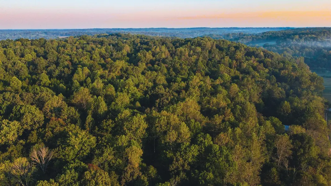 0 Rock Springs Rd, Cumberland Furnace, TN 37051