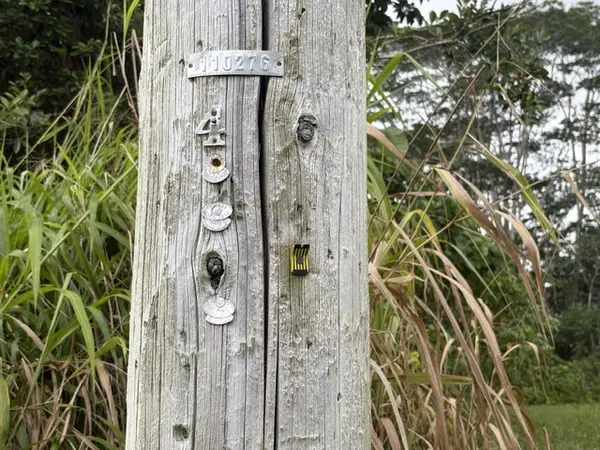 IAO ST, Pahoa, HI 96778