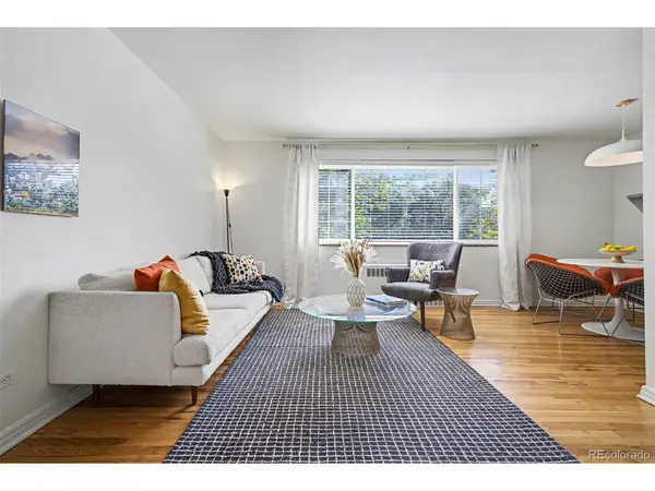 85 N Ogden #31, Denver, CO 80218