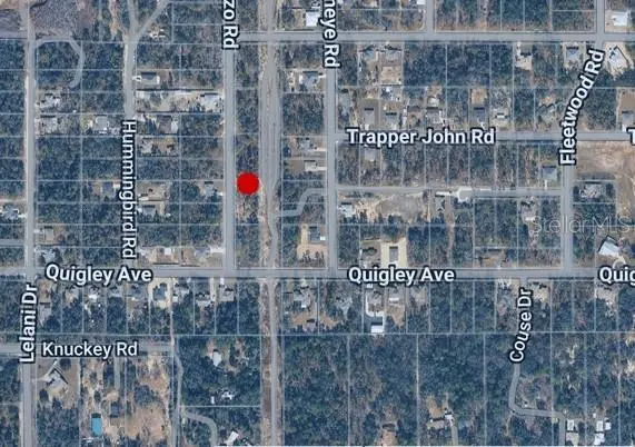 14498 GONZO RD, Weeki Wachee, FL 34614
