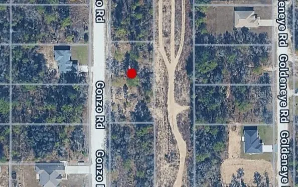 14498 GONZO RD, Weeki Wachee, FL 34614