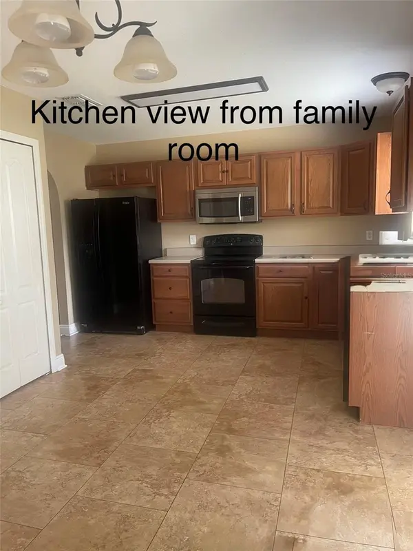 100 COLONIAL PINE LN, Minneola, FL 34715