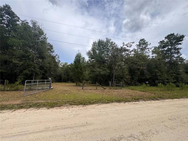 4717 NE 141ST AVE, Williston, FL 32696