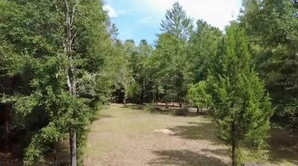 4717 NE 141ST AVE, Williston, FL 32696