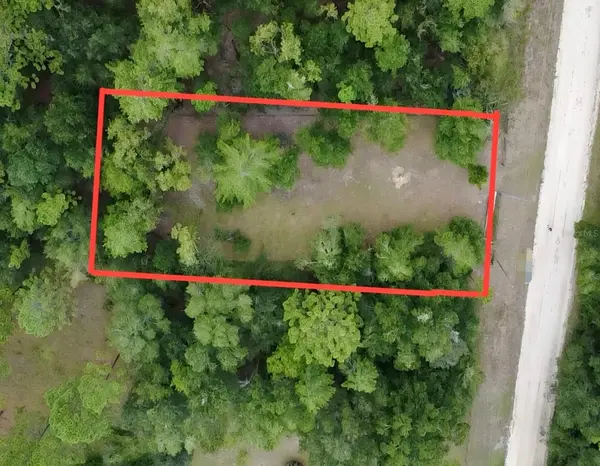 4717 NE 141ST AVE, Williston, FL 32696