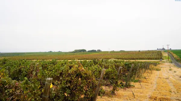 54402 N Hinzerling Rd., Prosser, WA 99350