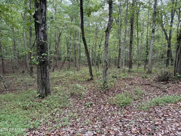 113 Hunterwood Lane, Crossville, TN 38558