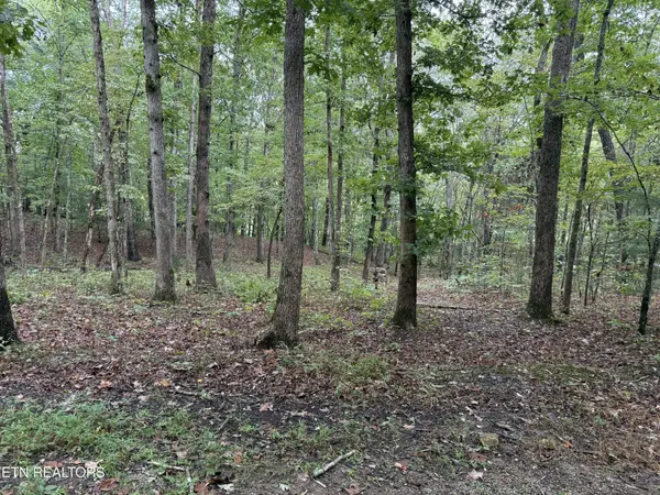 113 Hunterwood Lane, Crossville, TN 38558