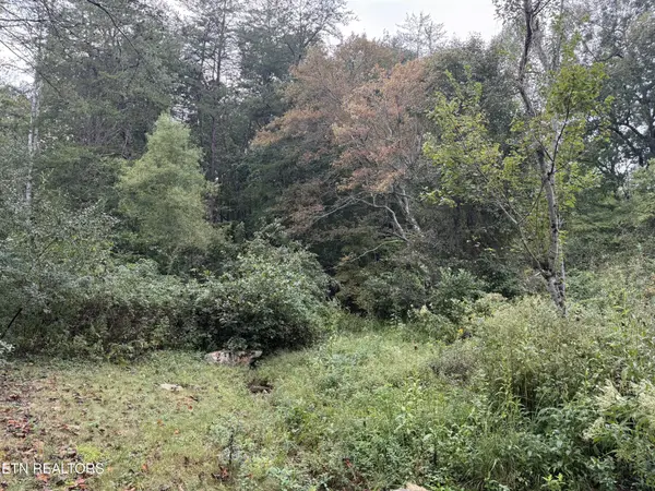 113 Hunterwood Lane, Crossville, TN 38558