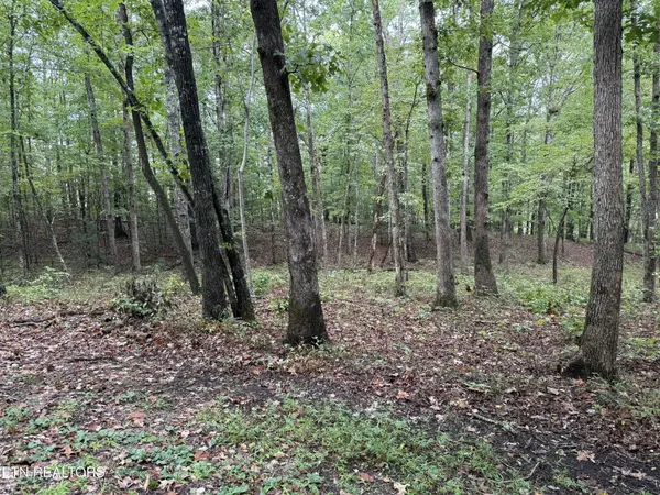 113 Hunterwood Lane, Crossville, TN 38558