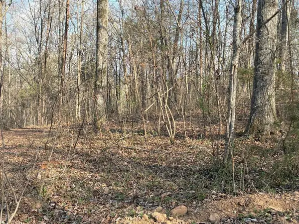 13356 Ellison Trace, Birchwood, TN 37308