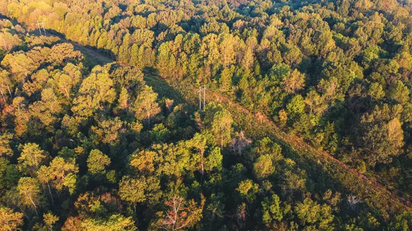 0 Rock Springs Rd, Cumberland Furnace, TN 37051
