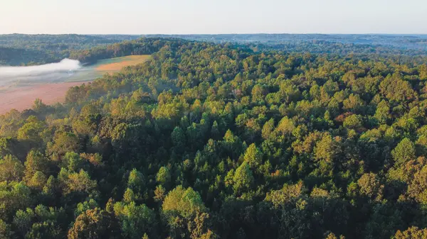 0 Rock Springs Rd, Cumberland Furnace, TN 37051