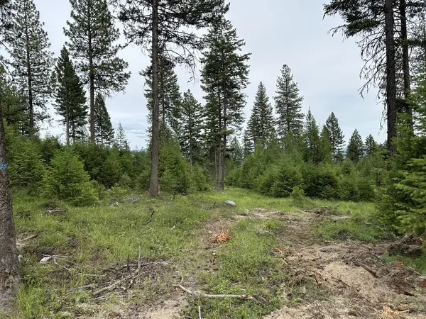 36XX Lot B Sheridan Rd, Republic, WA 99166