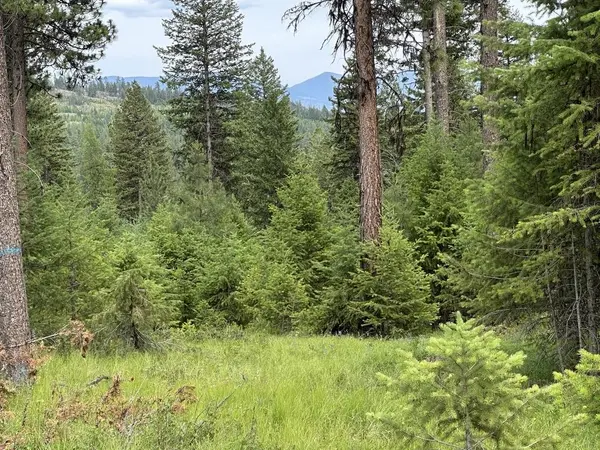 36XX Lot C Sheridan Rd, Republic, WA 99166
