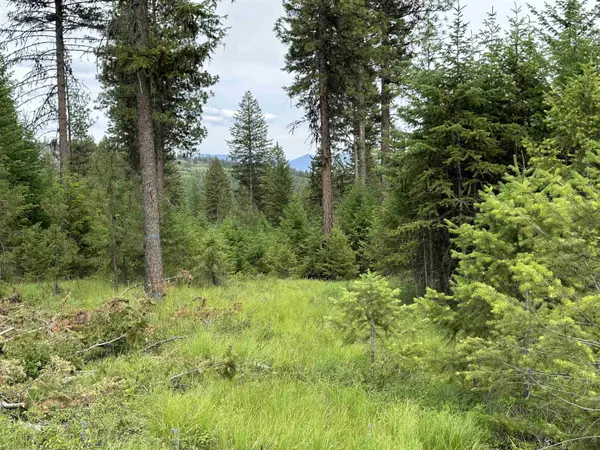 36XX Lot C Sheridan Rd, Republic, WA 99166
