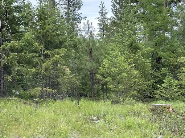 36XX Lot C Sheridan Rd, Republic, WA 99166
