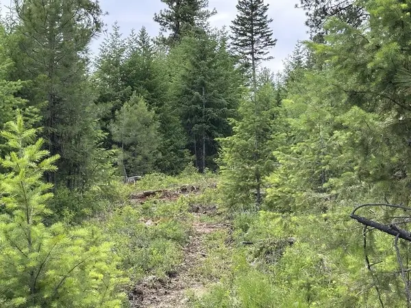 36XX Lot D Sheridan Rd, Republic, WA 99166