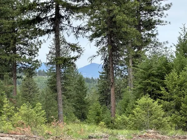 36XX Lot D Sheridan Rd, Republic, WA 99166