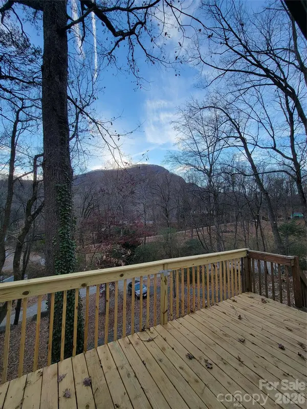 138 Buddy LN, Chimney Rock, NC 28720