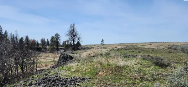 Lot 7 Telford South Road, Davenport, WA 99122