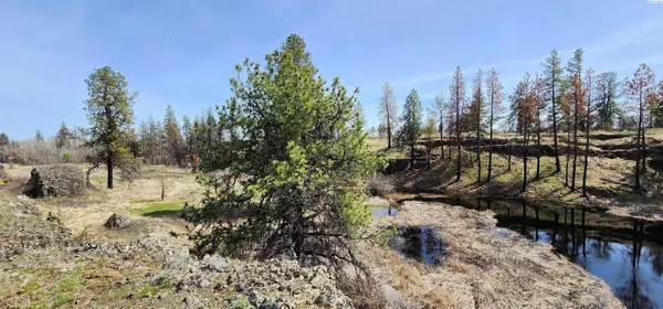 Lot 7 Telford South Road,  Davenport,  WA 99122