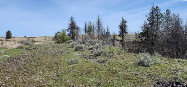 Lot 7 Telford South Road, Davenport, WA 99122
