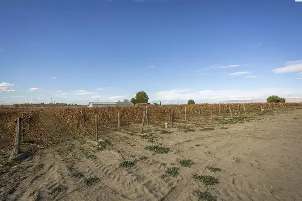 TBD Forsell Road, Grandview, WA 98930