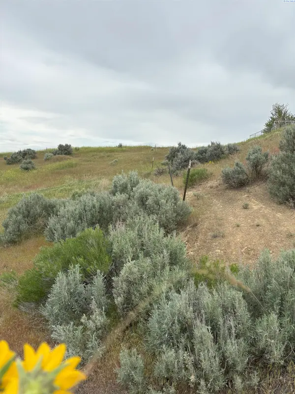 4730 Ringold Rd (Parcel D), Eltopia, WA 99330-9728