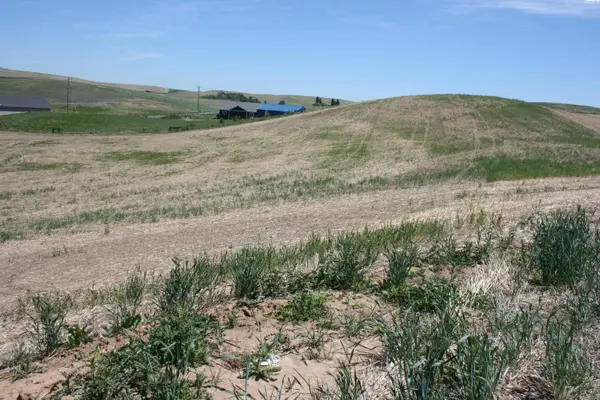 1491 Orville Boyd Road, Pullman, WA 99163
