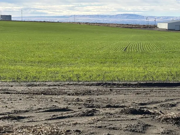 NKA Vineyard Drive (Parcel C), Pasco, WA 99301-0000