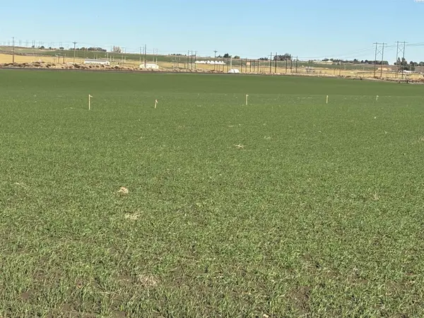 NKA Vineyard Drive (Parcel C), Pasco, WA 99301-0000