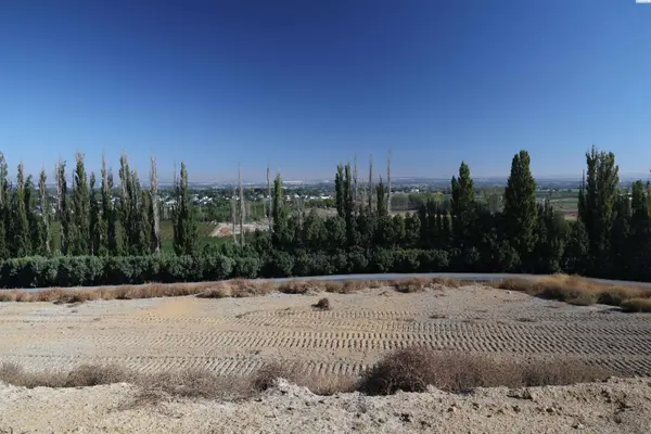 Lot 20 W 56th Ave, Kennewick, WA 99337