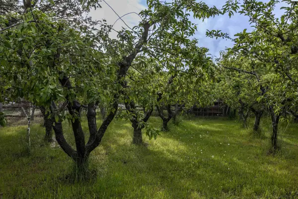 NKA N Kendall Rd, Benton City, WA 99320