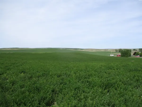 000 Ash Hollow, Touchet, WA