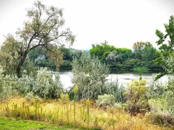TBD Christy Rd., Plymouth, WA 99346