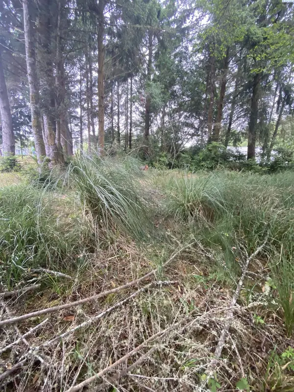 135 Duck Lake Dr NE, Ocean Shores, WA 98569