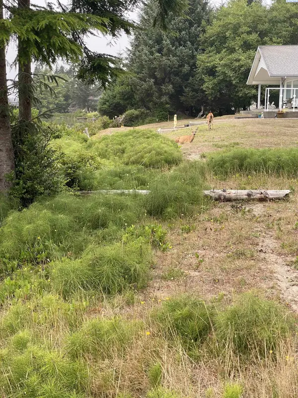 135 Duck Lake Dr NE, Ocean Shores, WA 98569