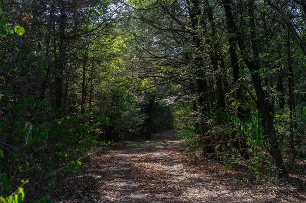 5 Acres +- S Faye Lane, Whitesboro, TX 76273