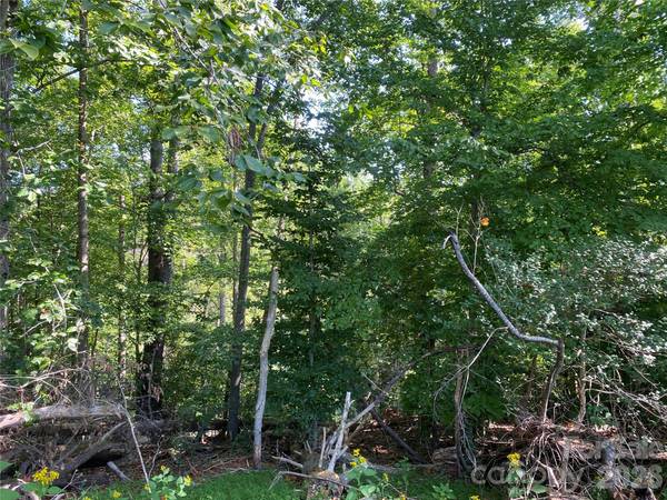 615 Vine Arden RD, Morganton, NC 28655