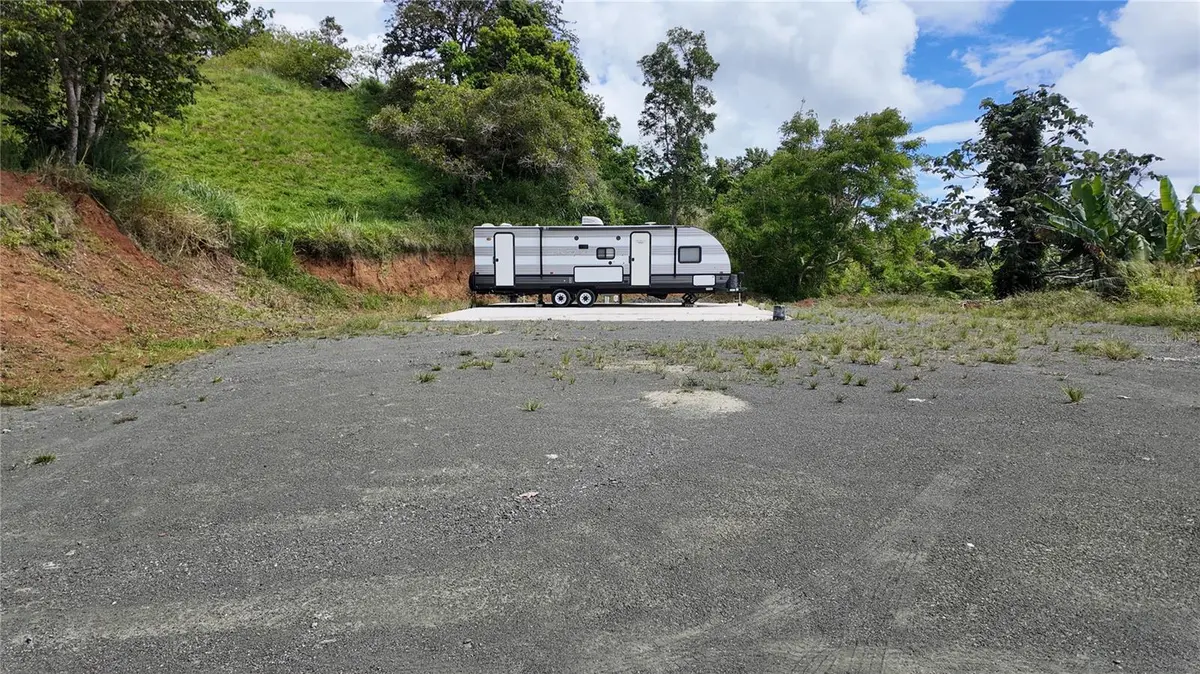 CARR 155 KM 35.5 BO. PERCHAS, Morovis, PR 00687