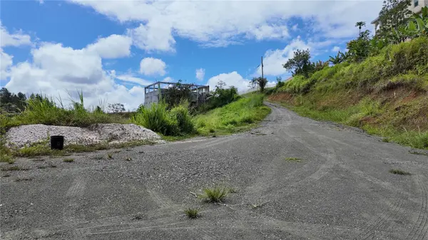 CARR 155 KM 35.5 BO. PERCHAS, Morovis, PR 00687