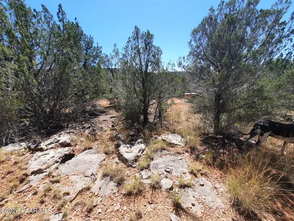 30260 W Circle DR, Seligman, AZ 86337