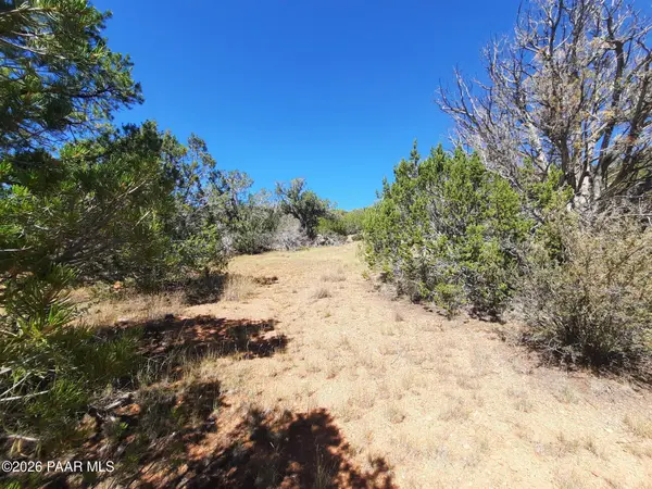 30260 W Circle DR, Seligman, AZ 86337